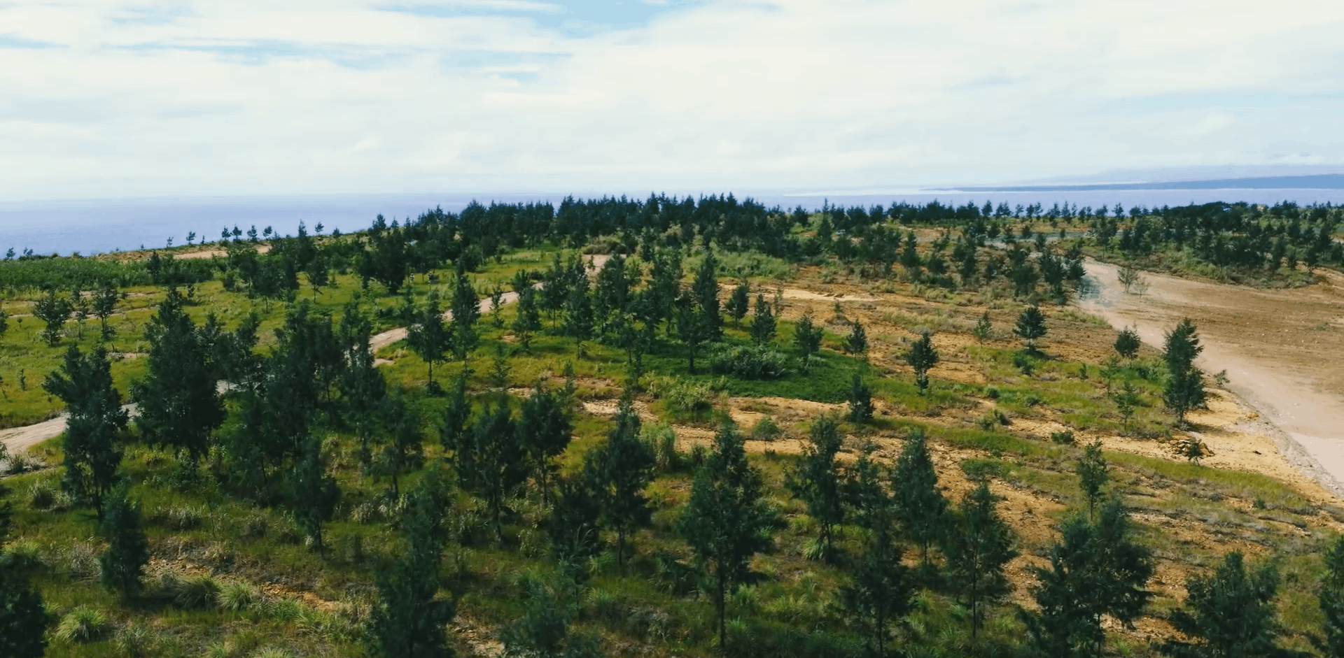 Environment